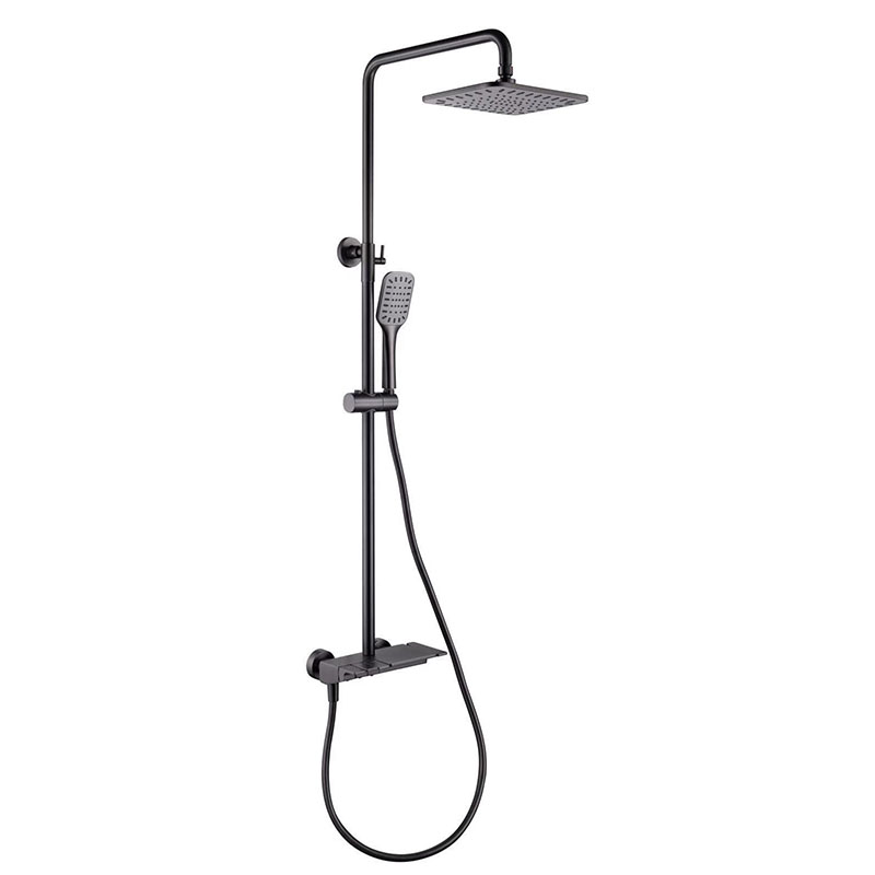 Black Rain Head Shower with Hand Shower