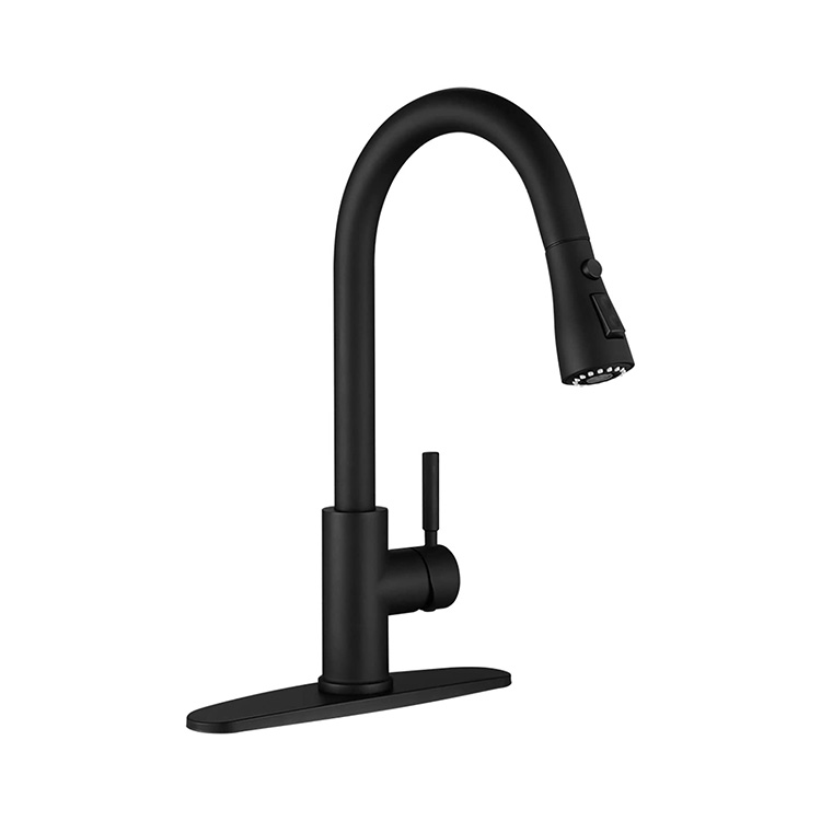 Matte Black Kitchen Tap